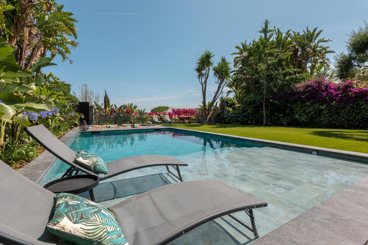 Barcelona'S Tropical Oasis Βίλα Sant Just Desvern Εξωτερικό φωτογραφία